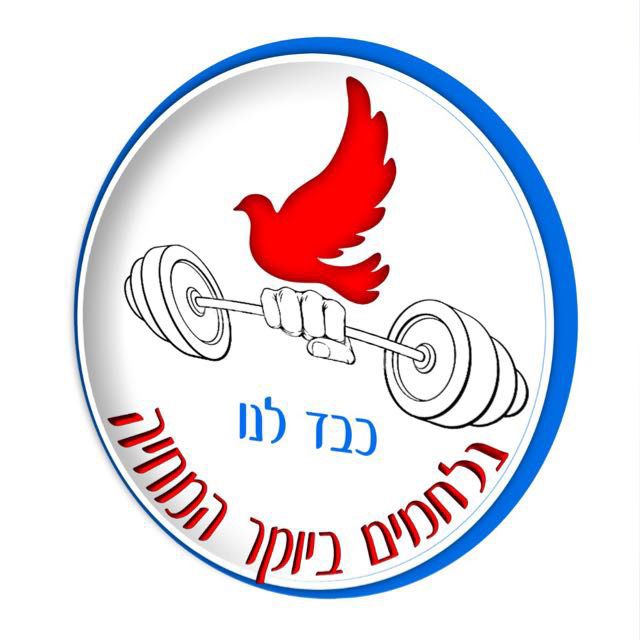 לוגו